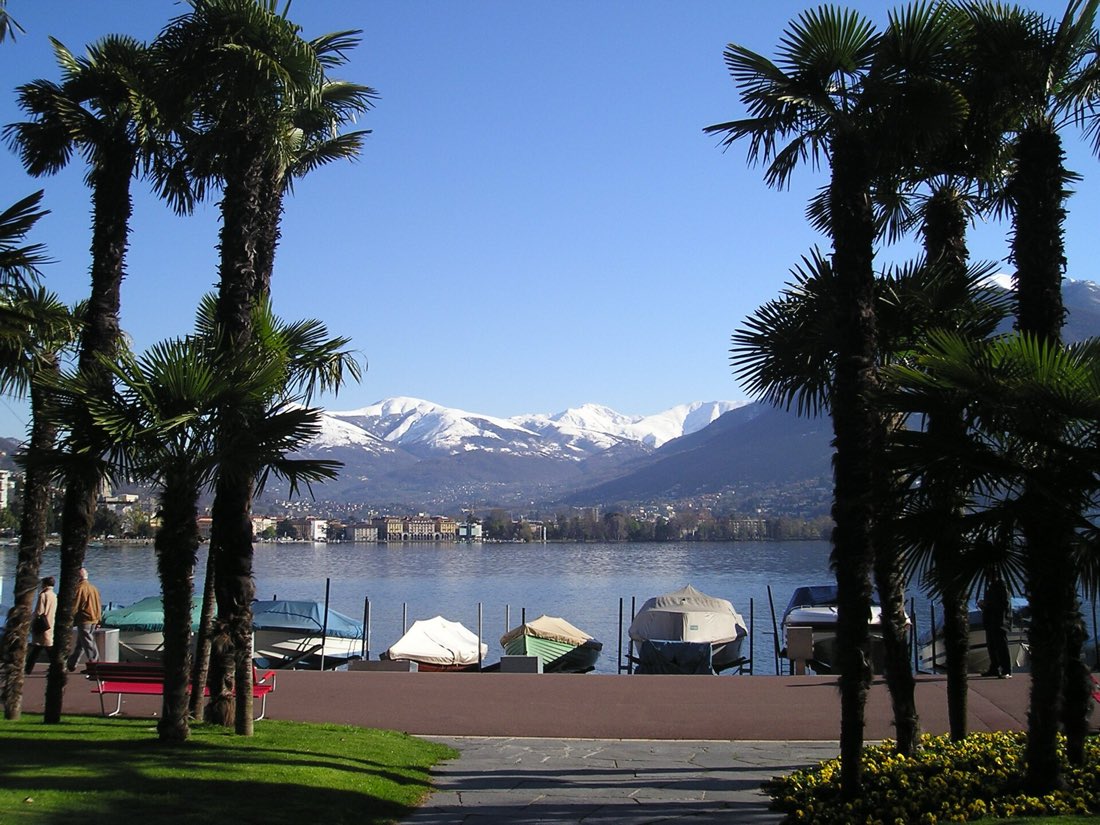Palmen an der Uferpromenade von Paradiso mit schneebedeckten Bergen